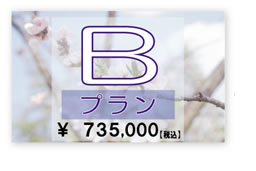 B�v����