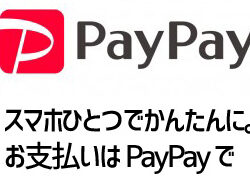 paypay
